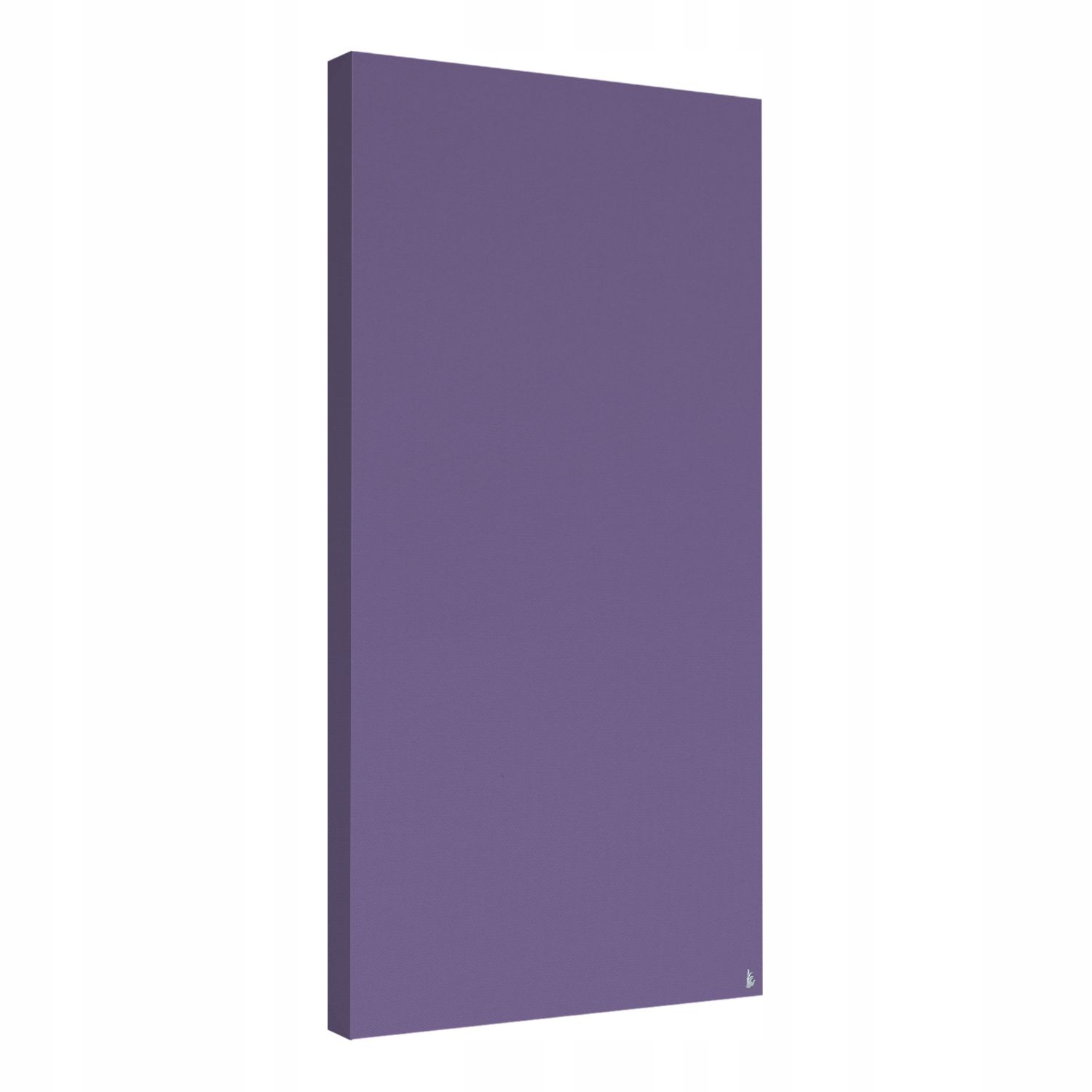  Sugėriklis premium 100x50x6 cm 7.curry kilimėlis garso izoliacijos putos akustinė