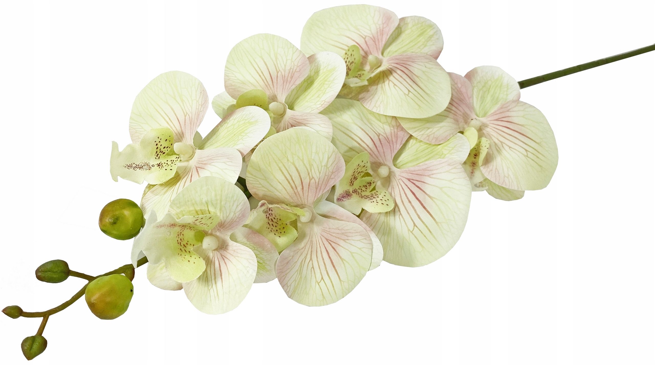 Orchid twig 20 flowers 76 cm rubber