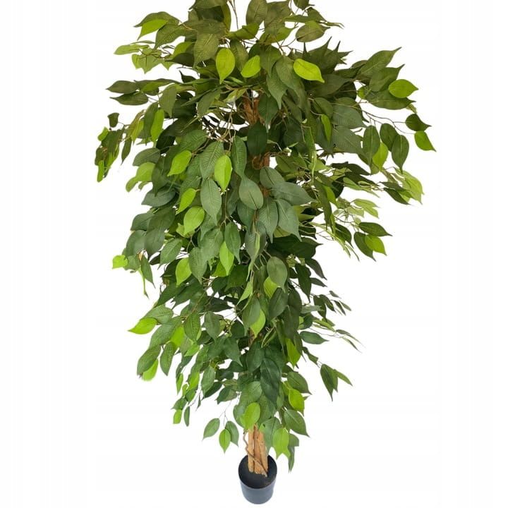  Mākslīgais koks palma gumija 180 cm katlā premium zieds mākslīgais