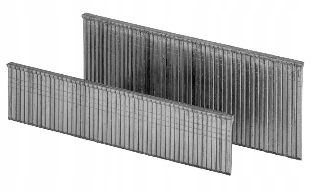  Parko pakrantė komplektas vinių tipas 062 40mm/50mm 1200 kompiuterių. cinkuotas plienas