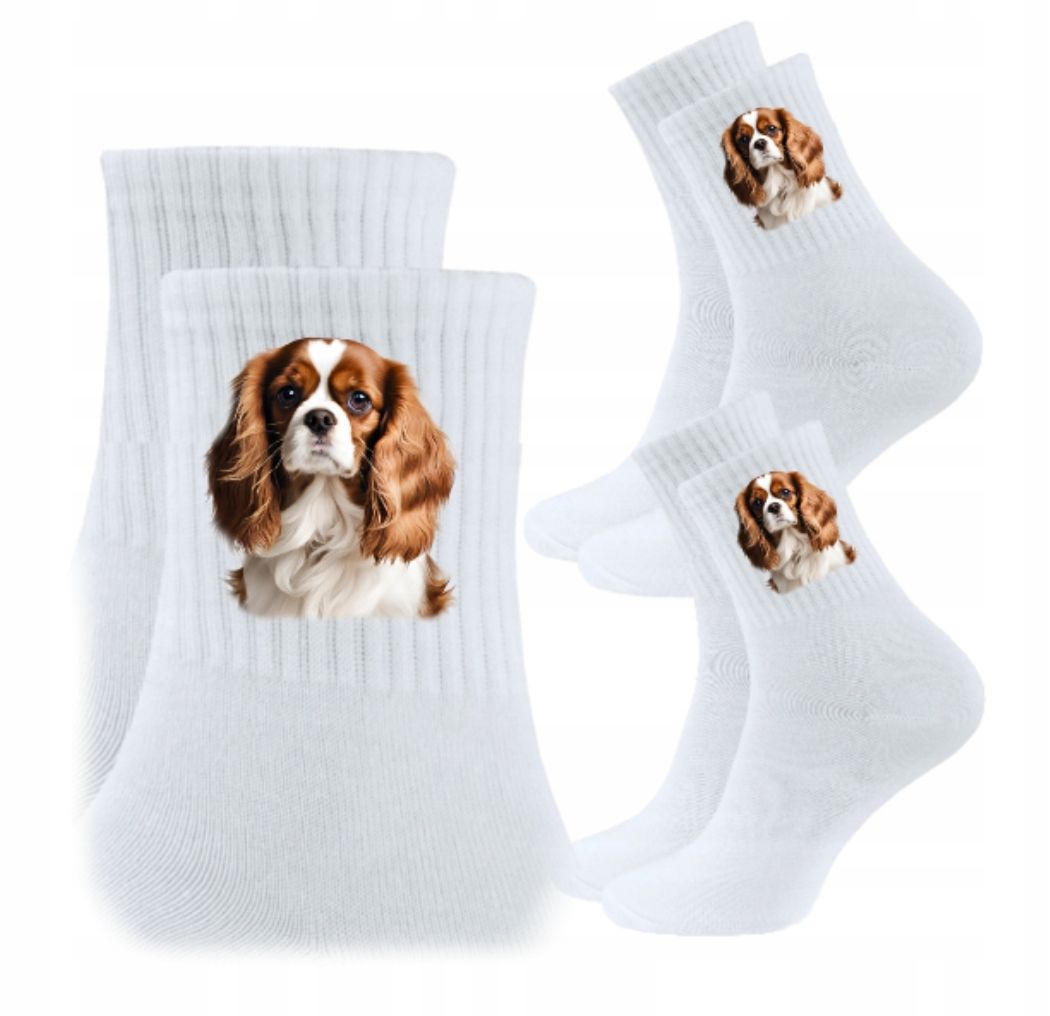  3x socken psiak hund hündchen hunde geschenk - york yorkshire