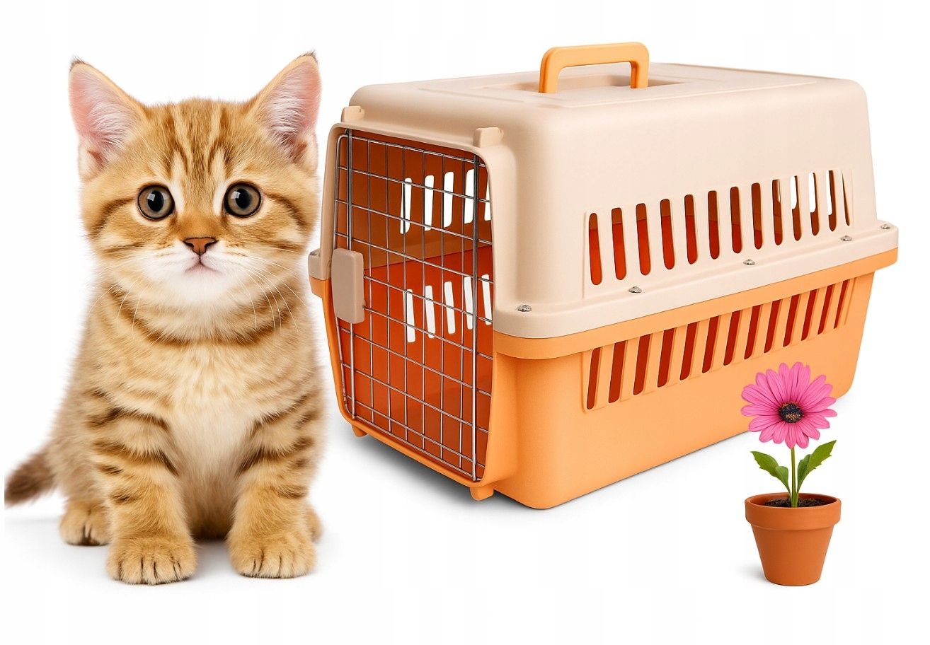  Conveyor for a cat, for a dog for a rabbit cage playpen big solid box cottage pomar.
