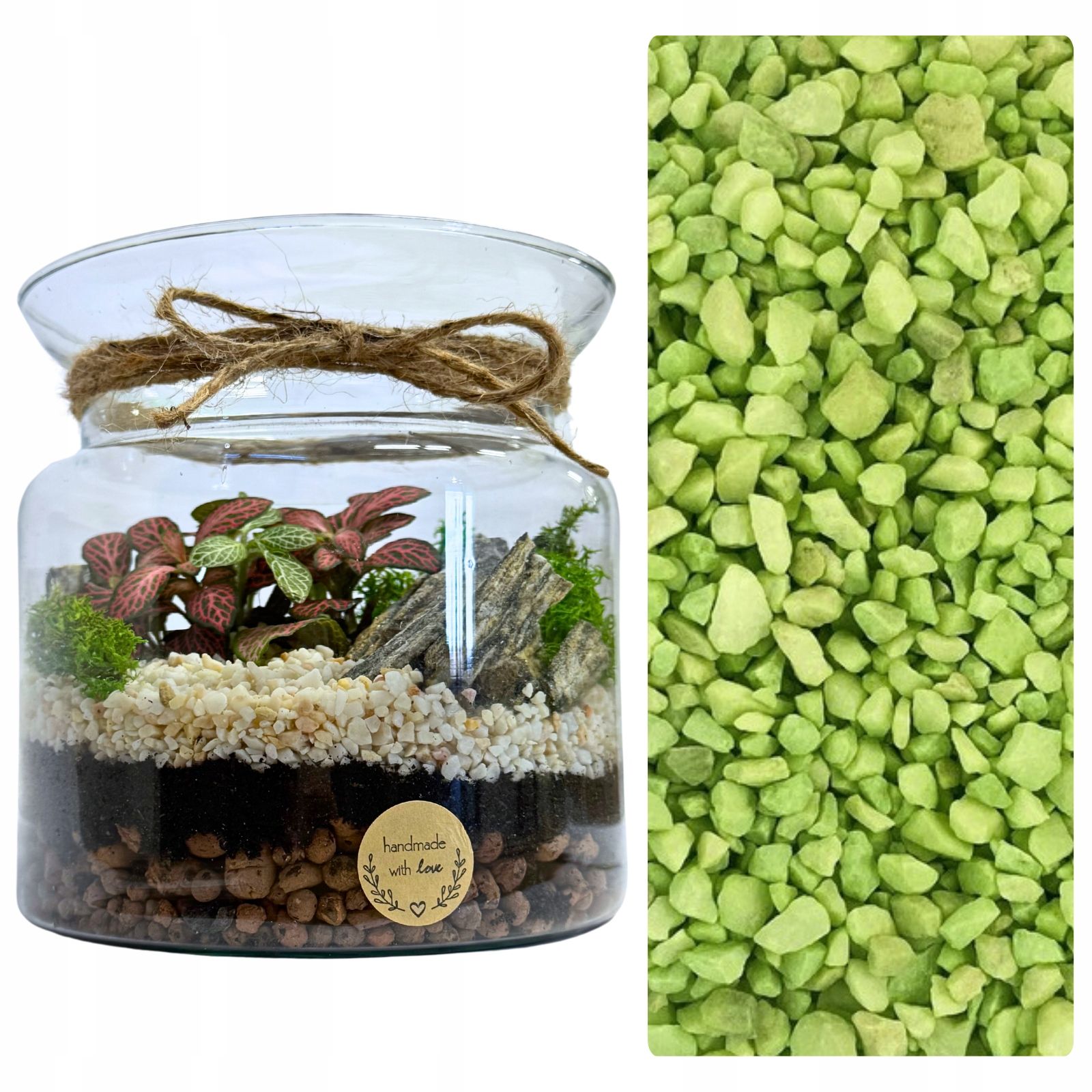  Moss chrobotek light green to the forest in a glass jar in glass decoration 10g