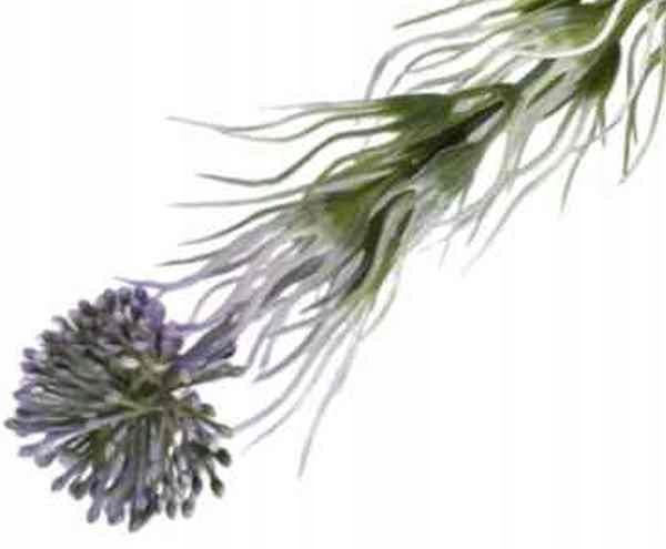  Rukola šakelė puošni į bukietu tanki žolė violet