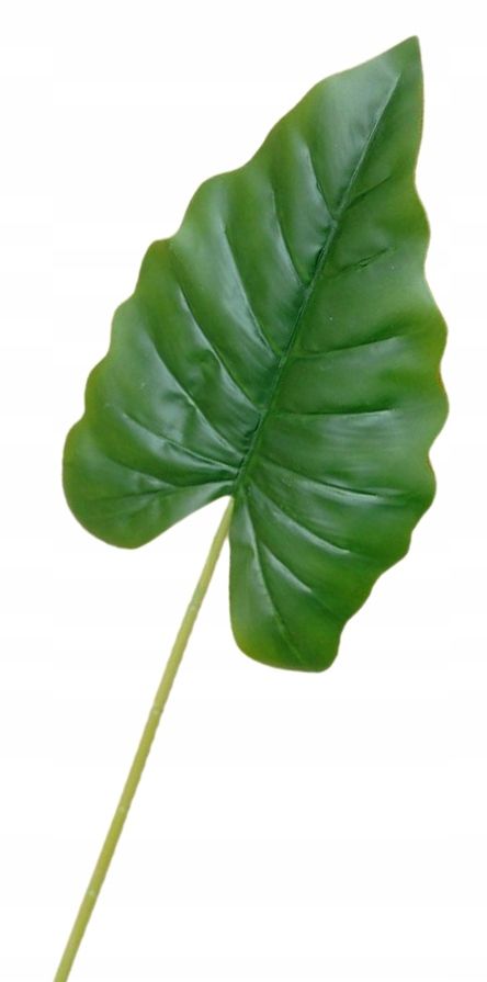  Ruskus lapas zaļš zars dekoratīvs pik 60cm kompozīcijām