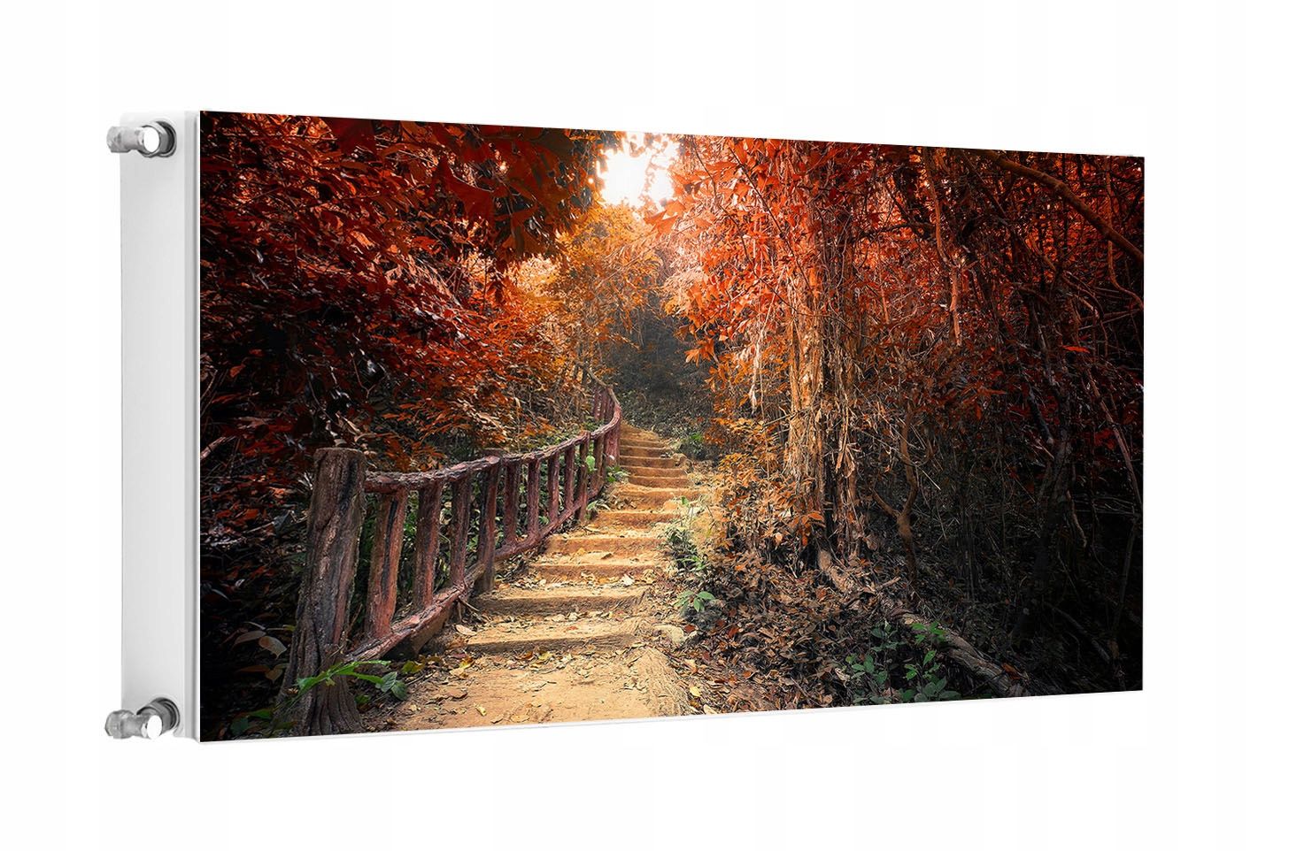  Magnetinis kilimėlis ant radiatoriaus 120x60 kraštovaizdis fototapetai
