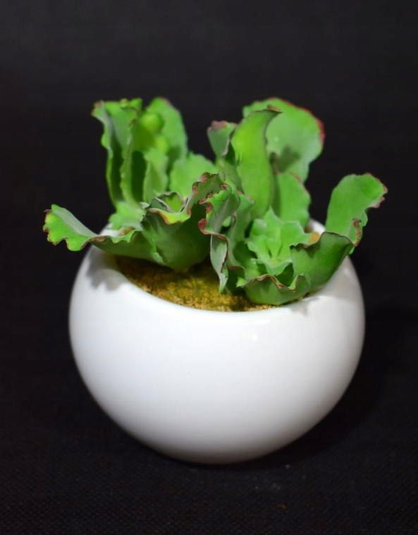  Množina 18 vonný sviečky tealight s vôňou levandule 12x12 centimeter