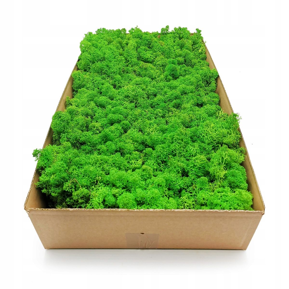  Samanos chrobotek alpių 500g