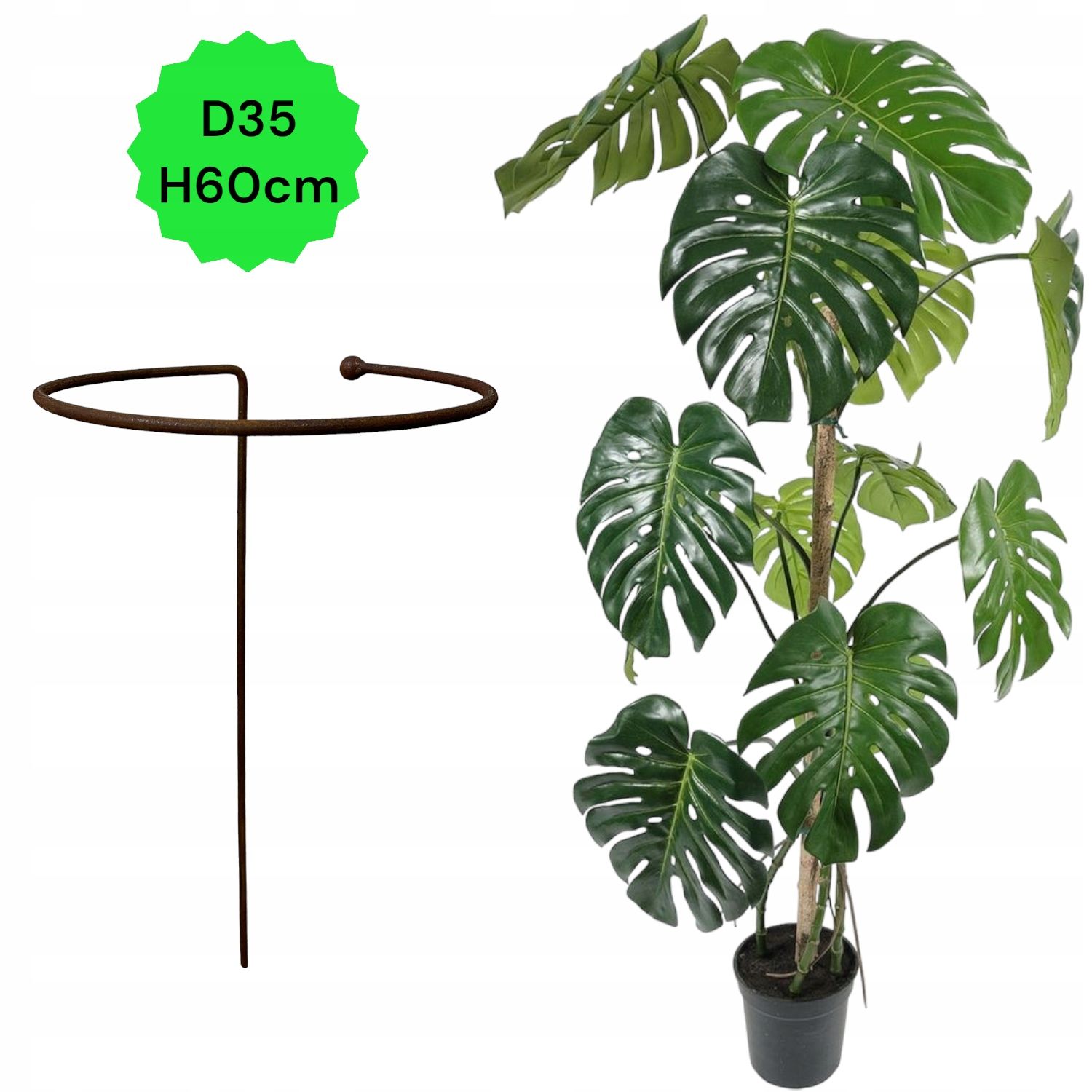  Support for bushes plants flower roses pergola 30/50cm single-seater semicircular