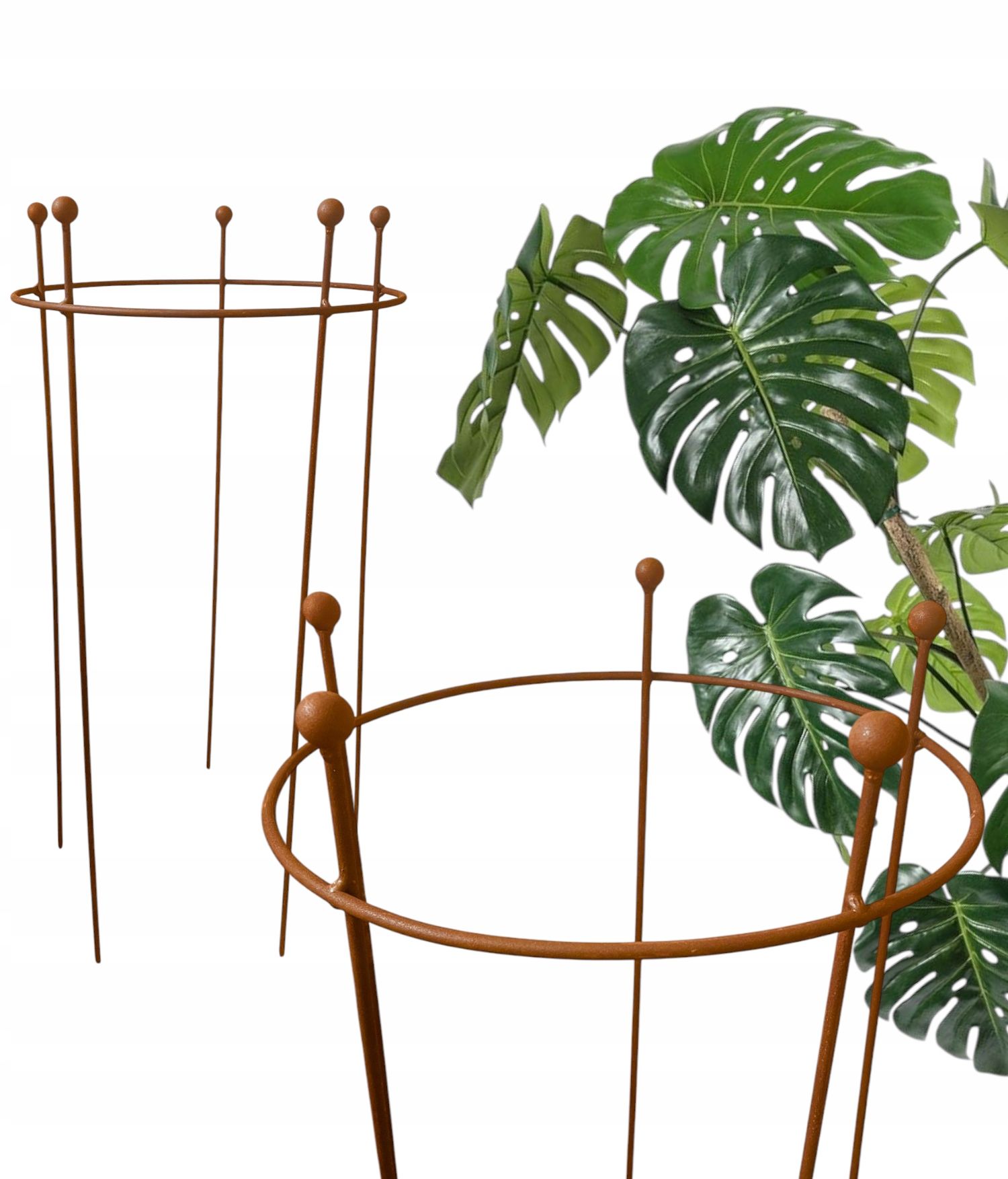  Support for bushes plants flower roses pergola 30/50cm single-seater semicircular