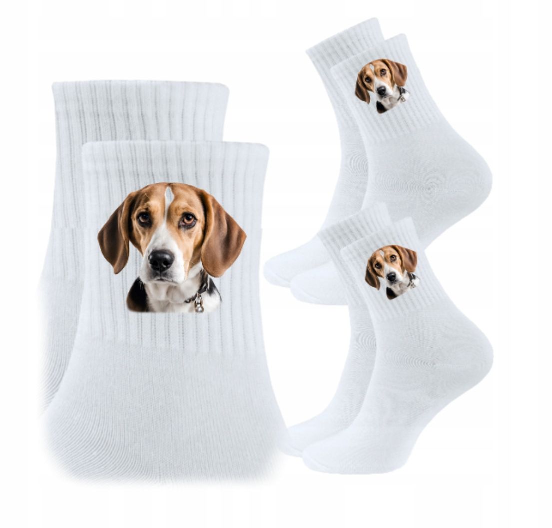  3x socken psiak hund hündchen hunde geschenk - york yorkshire
