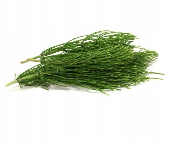  Equiherbs czarnuszka seemned toetab seedimist vastupidavust hobuste jaoks horse 1kg
