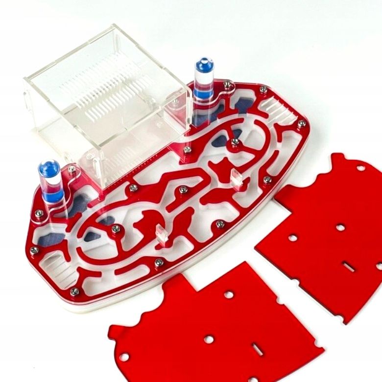  Formicarium acryl oval rot zucht ameisen anthunter