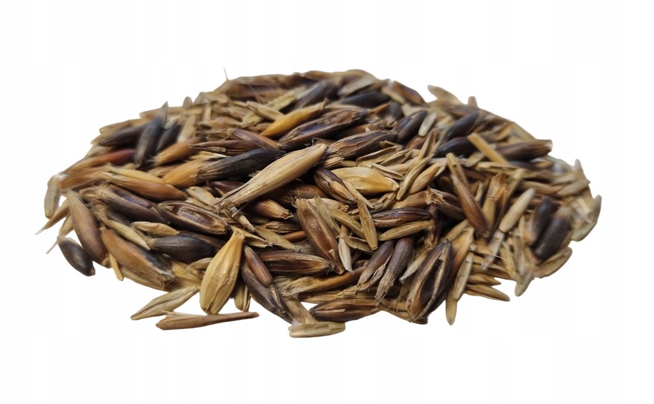  Semena mix dla messor 100 g. - jídlo mravenci anthunter