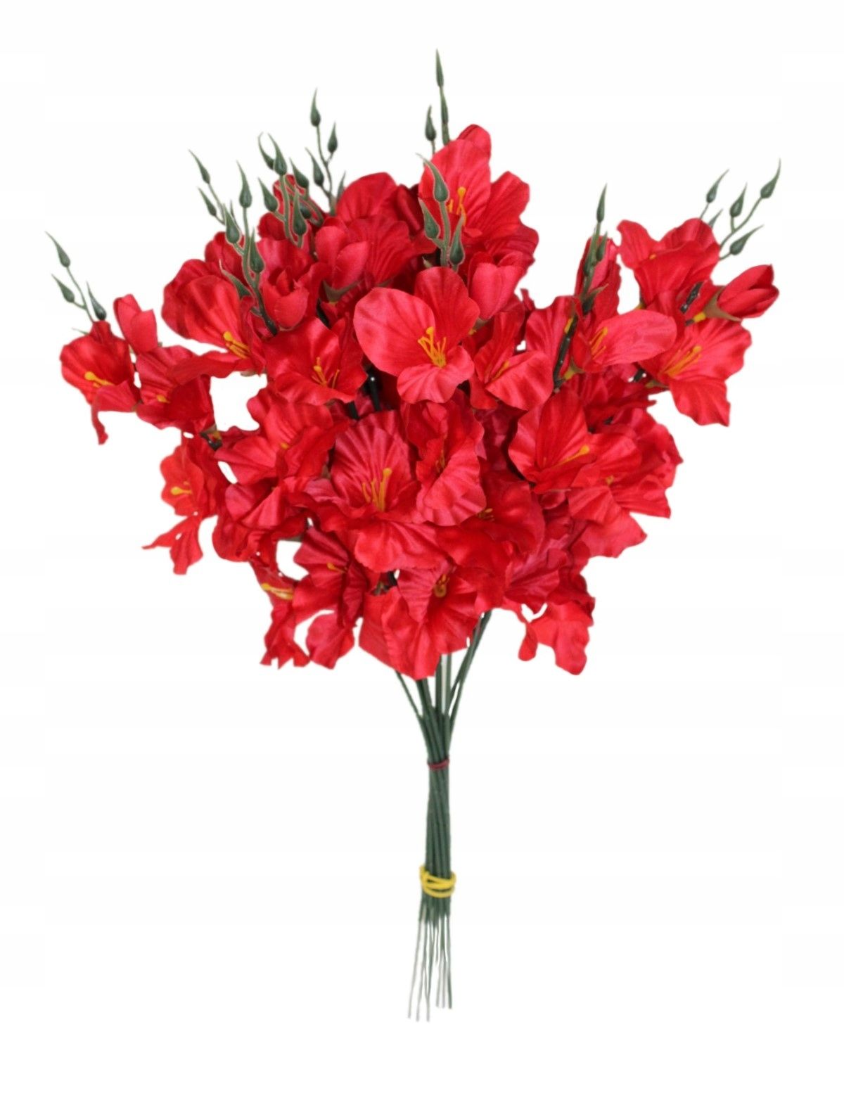  Mieczyk produktívny, vetvička, 55 cm, 12 počítač.