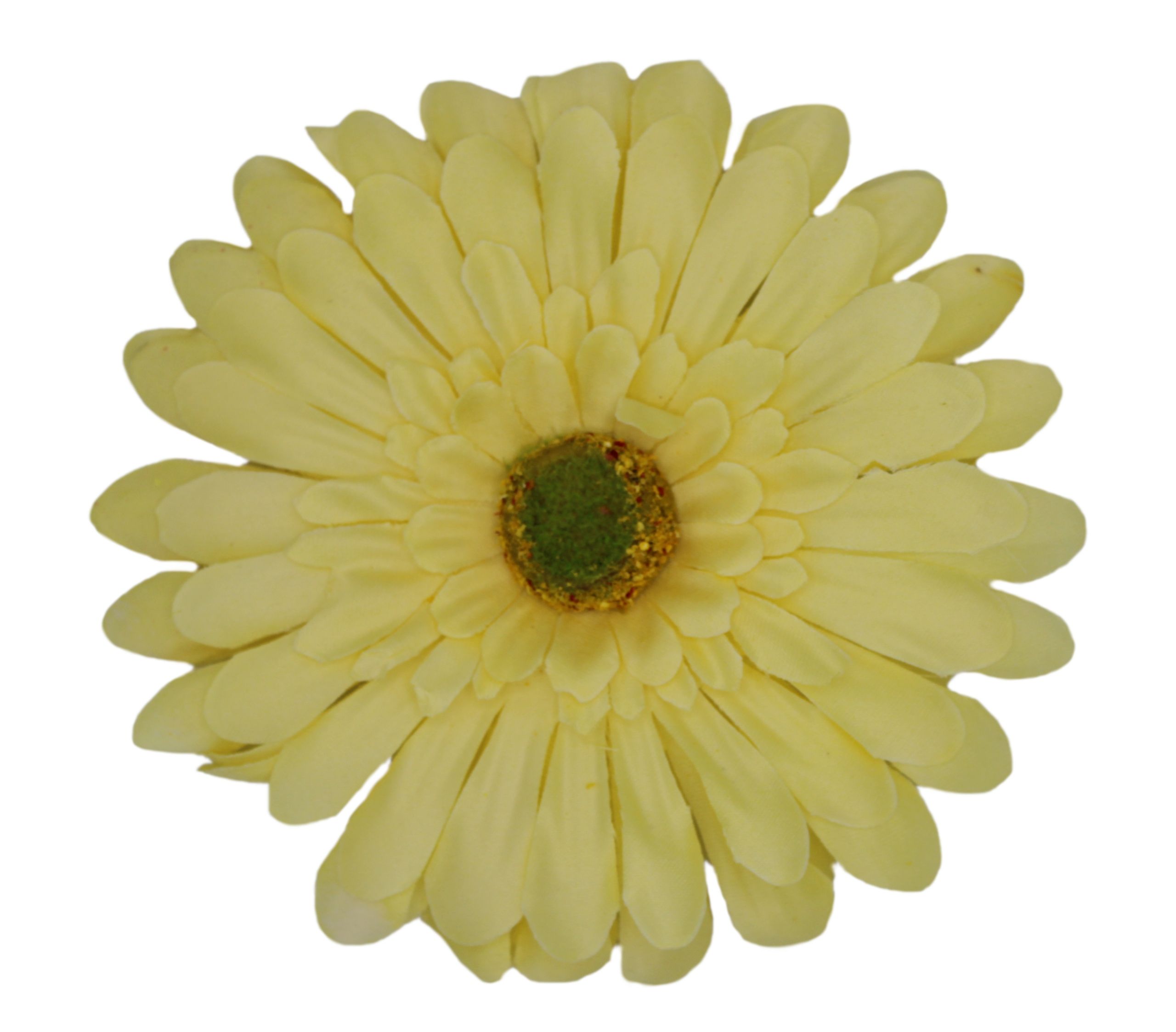 Gerbera large head wyrobowa 14 cm, 12 pcs.
