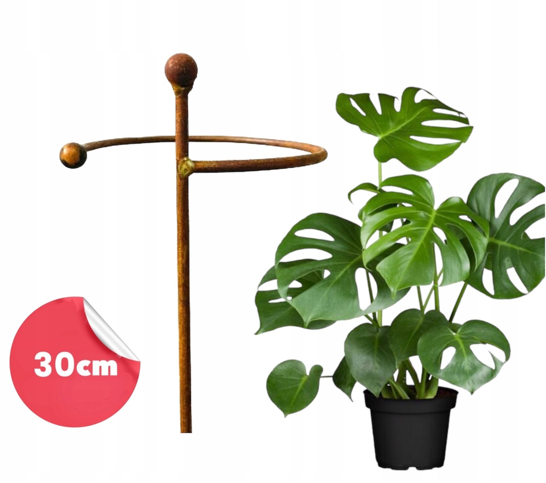  Support for bushes plants flower roses pergola 30/50cm single-seater semicircular