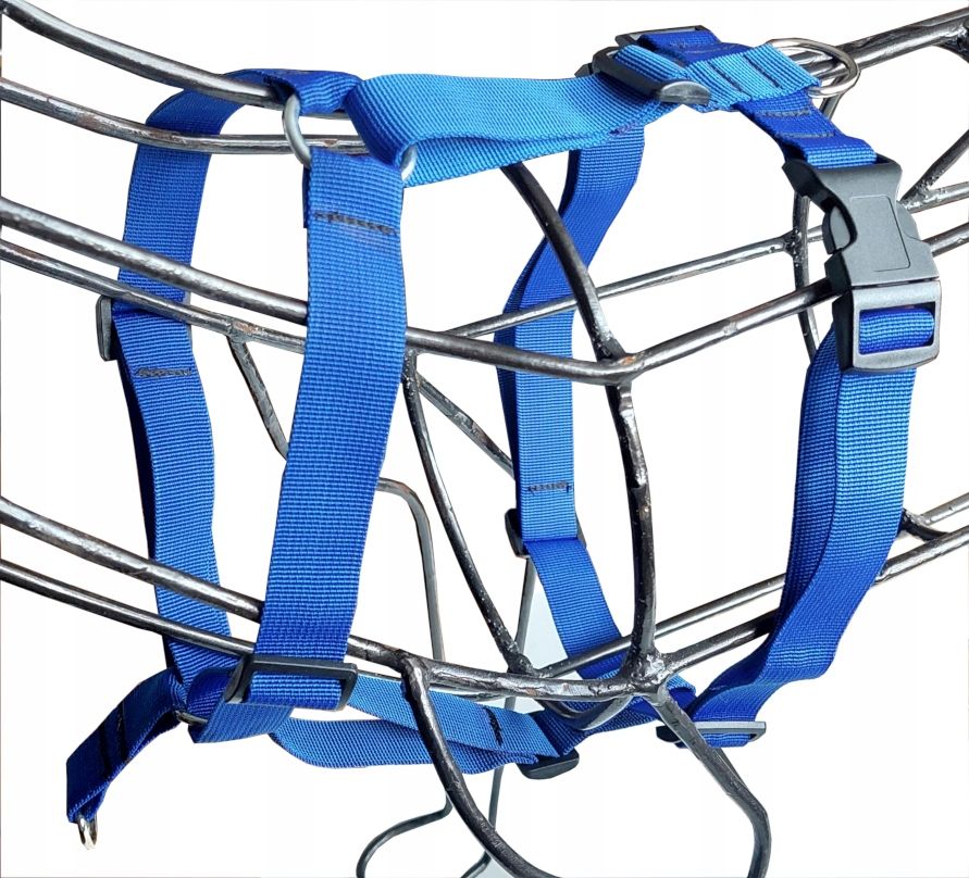  Lencēm guard sunka basic par suni m-l