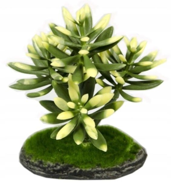  Kunstlik taim 40 cm keraamilisel alusel