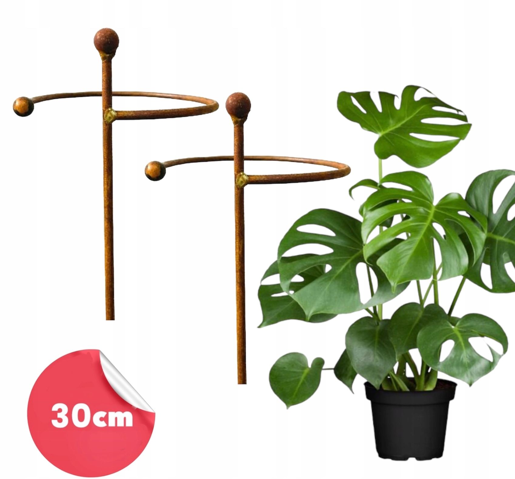  Support for bushes plants flower roses pergola 30/50cm single-seater semicircular