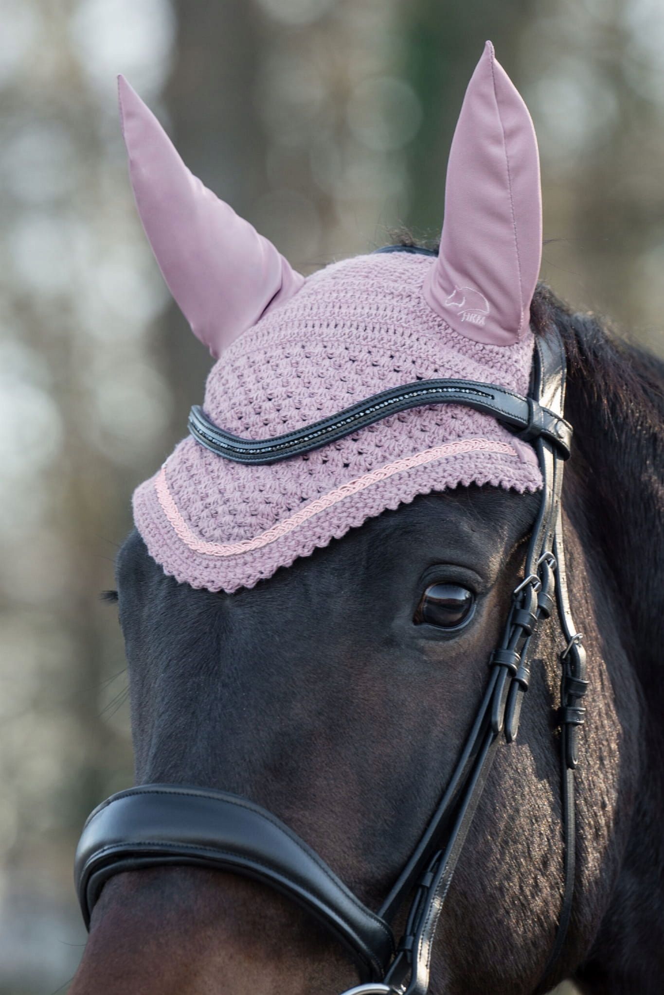  Hkm ausinės daphne light rose 24 val. r: full