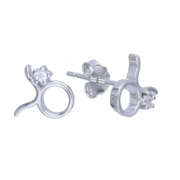  Earrings zodiac sign aries zircons pencil silver