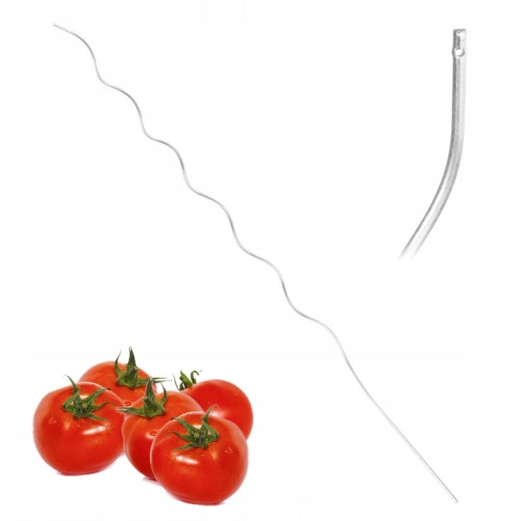  Bambusa miets atbalsta tomātiem augi 180 cm / 12-14 mm 10 datoriem.