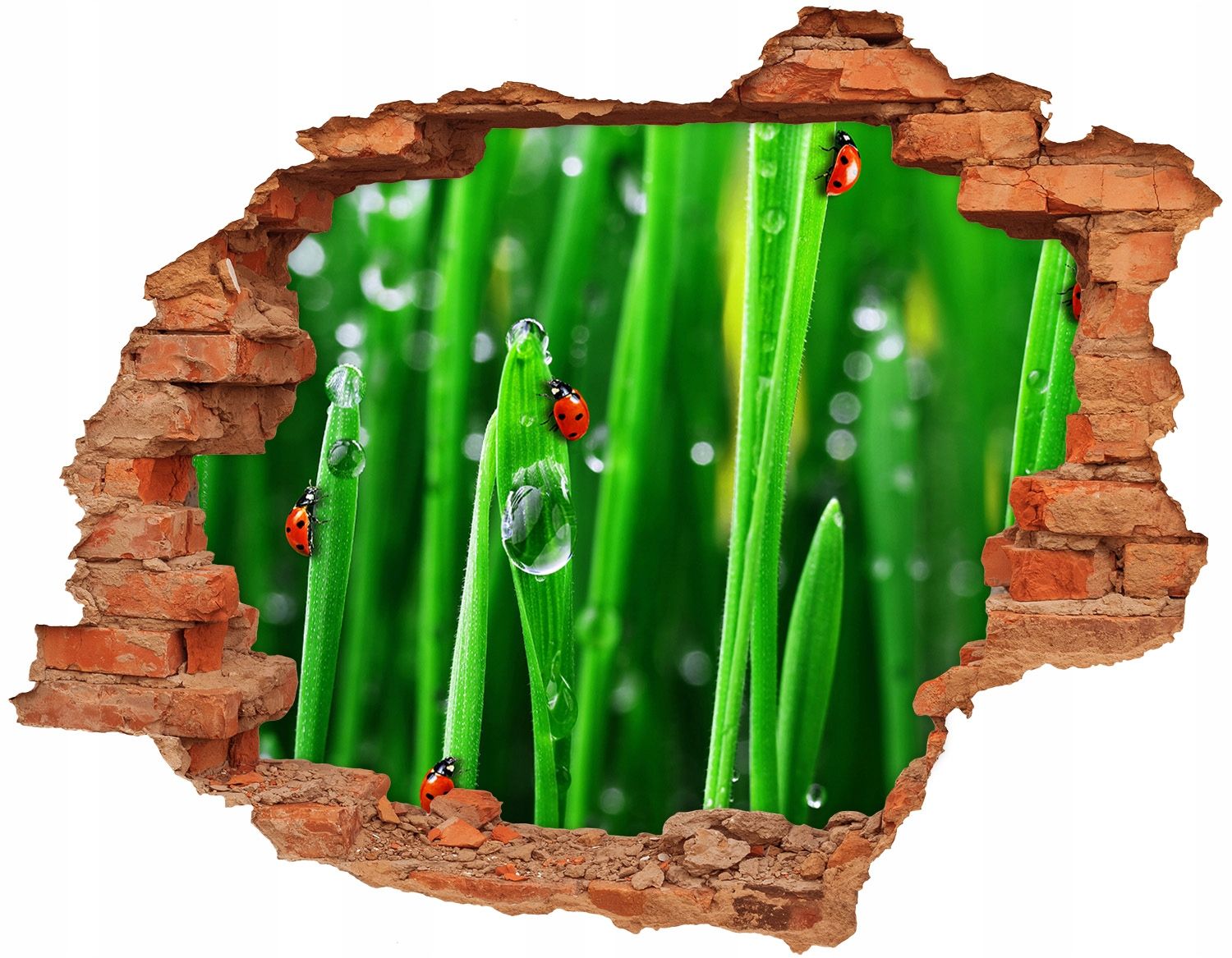  Otvor 3d výzdoba na zdi 148x115 cm lilie voda