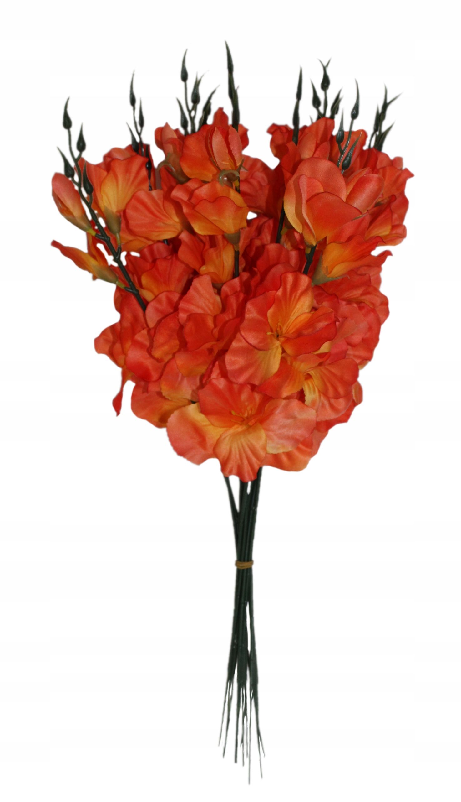  Mieczyk produktívny, vetvička, 55 cm, 12 počítač.