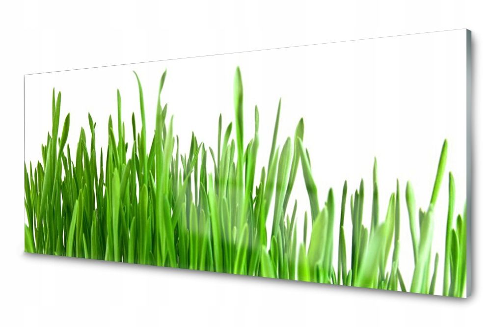  Lacobel glasplatte küche lilien wasser 140x70