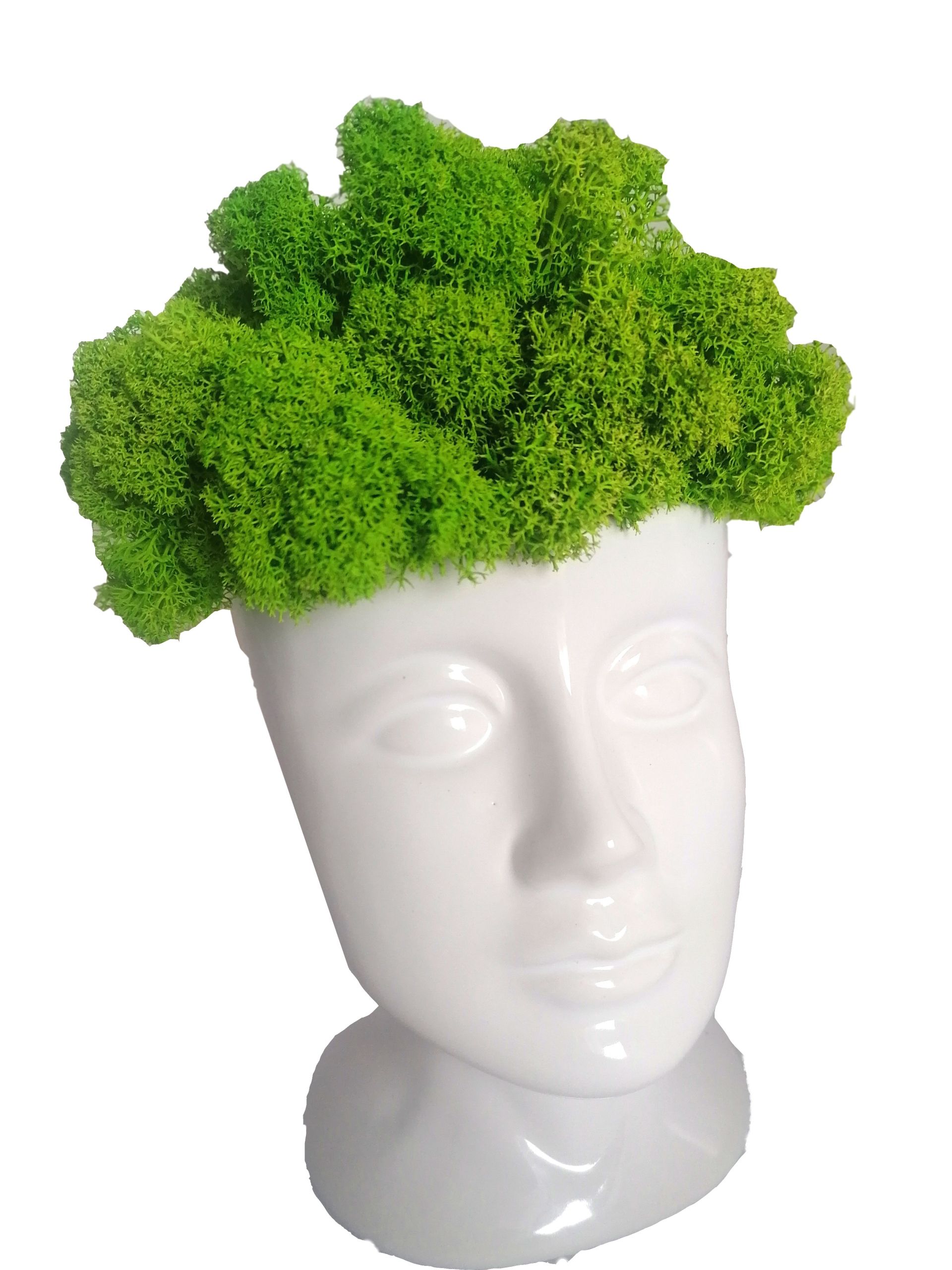  Flowerpot boat with moss, day grandma