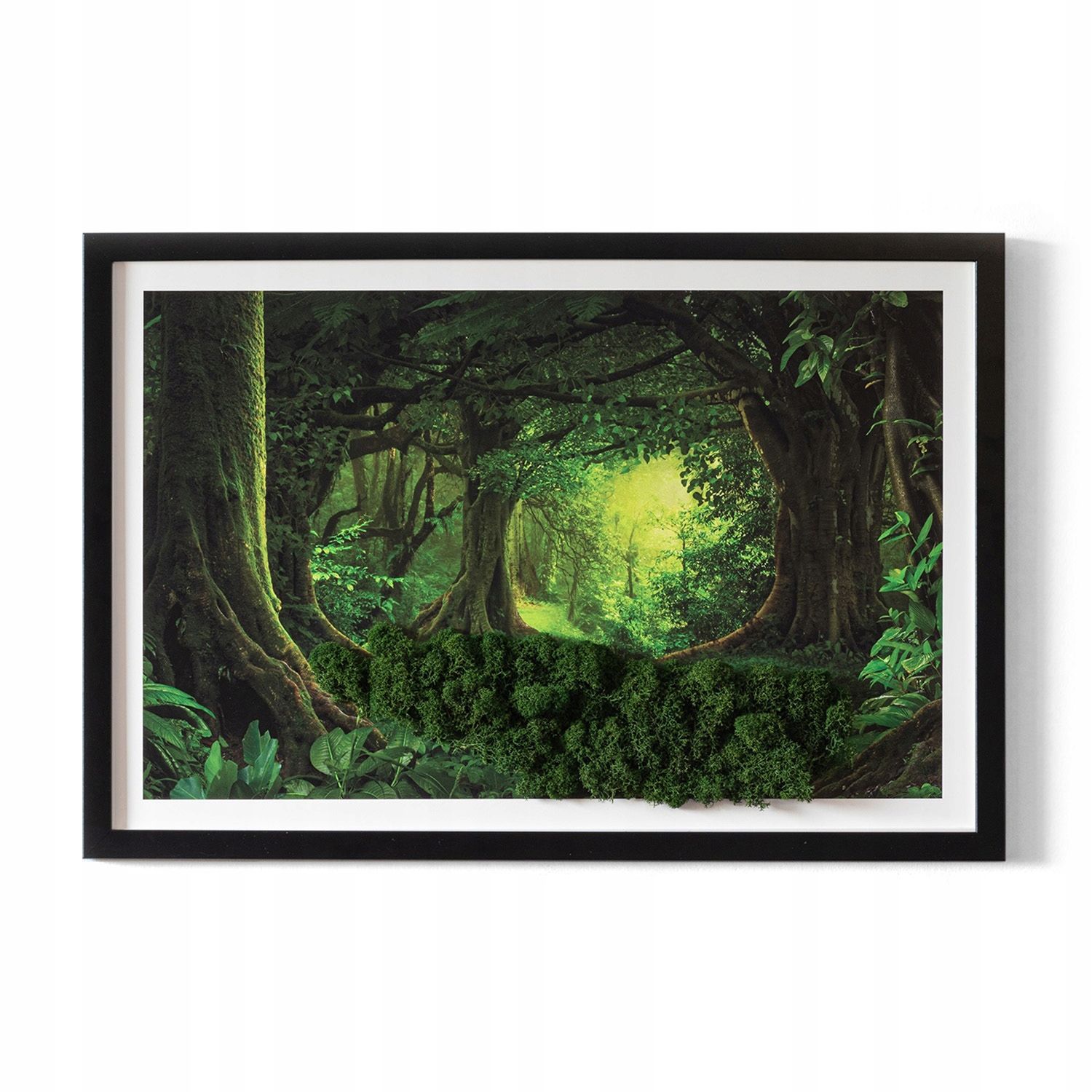  Tapyba samanos chrobotek sala ant rozlewisku 60x40
