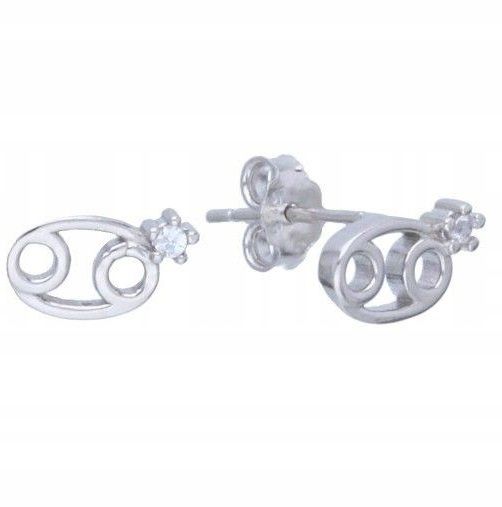  Earrings zodiac sign aries zircons pencil silver