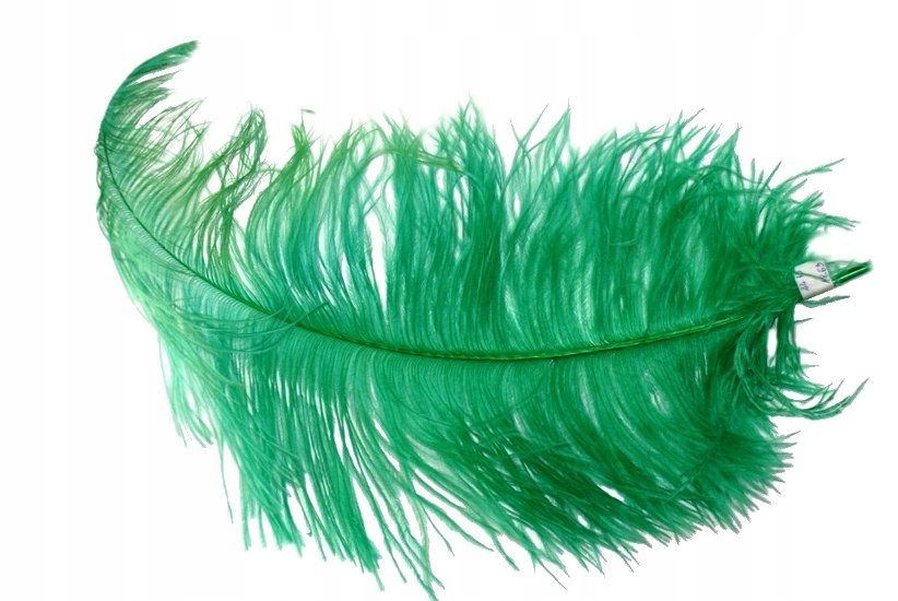  Federn strauß größe licht preis für 1sz 50cm federkiel feder 9446