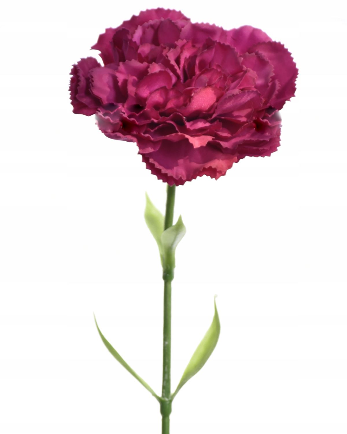  Zweig gipsowki bündeln kleine blumen in krone anhang zur krone premium