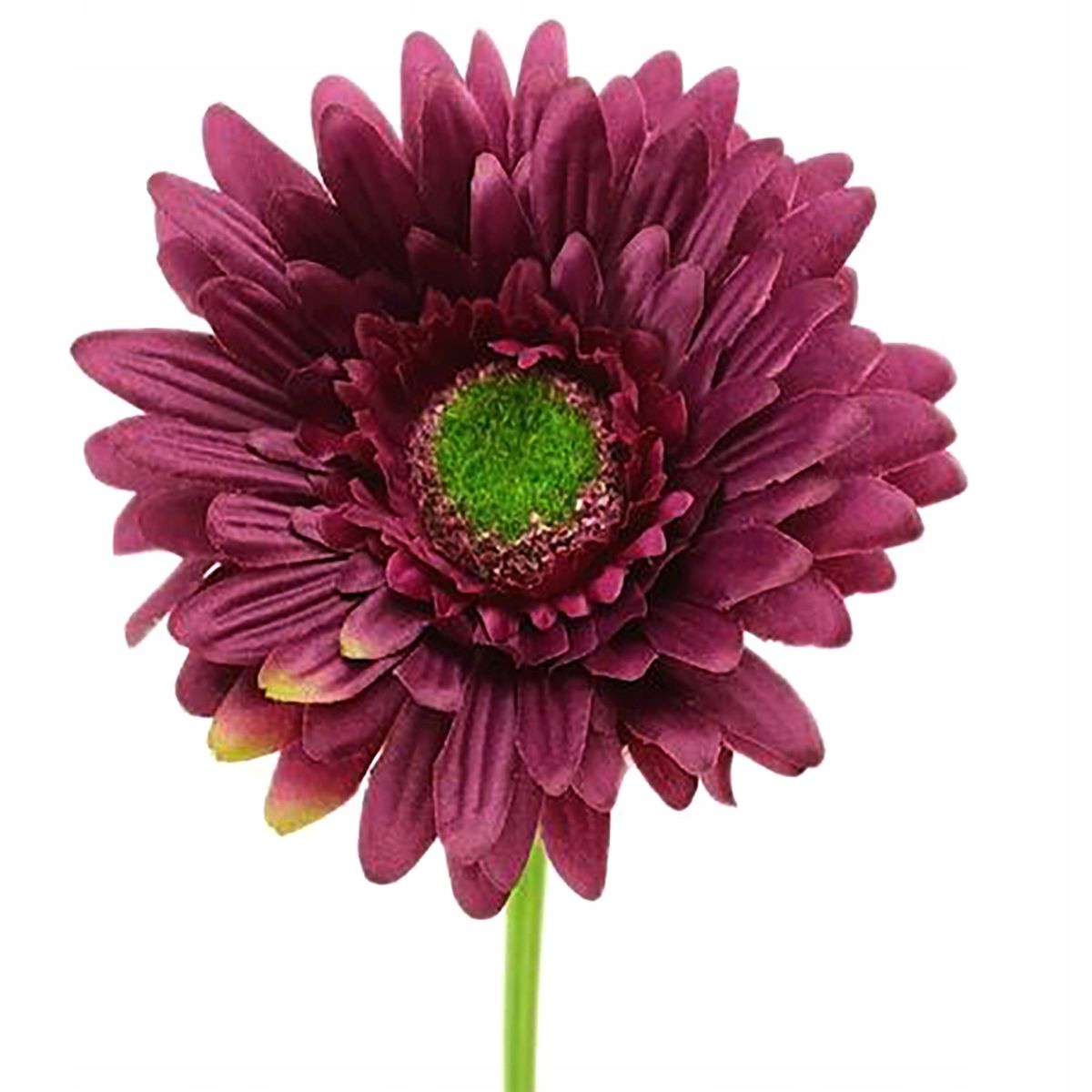 Zweig gipsowki bündeln kleine blumen in krone anhang zur krone premium