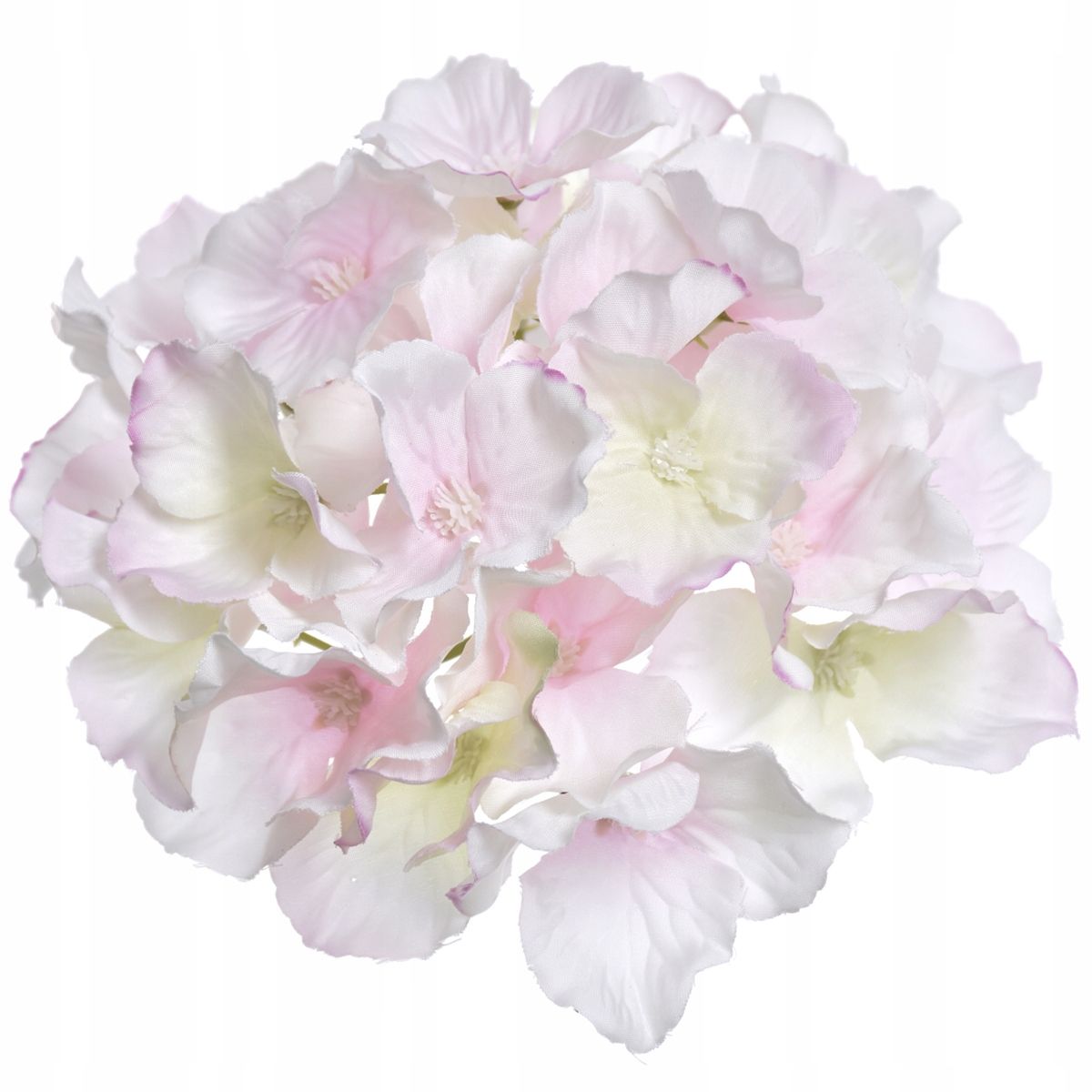  Zweig gipsowki bündeln kleine blumen in krone anhang zur krone premium