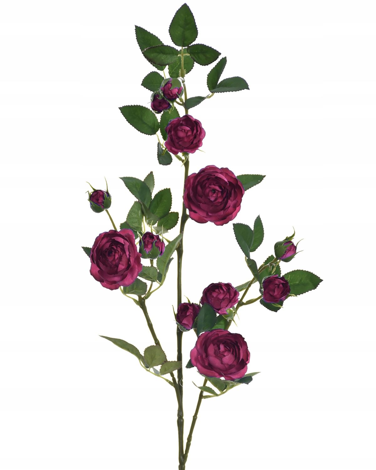  Zweig gipsowki bündeln kleine blumen in krone anhang zur krone premium