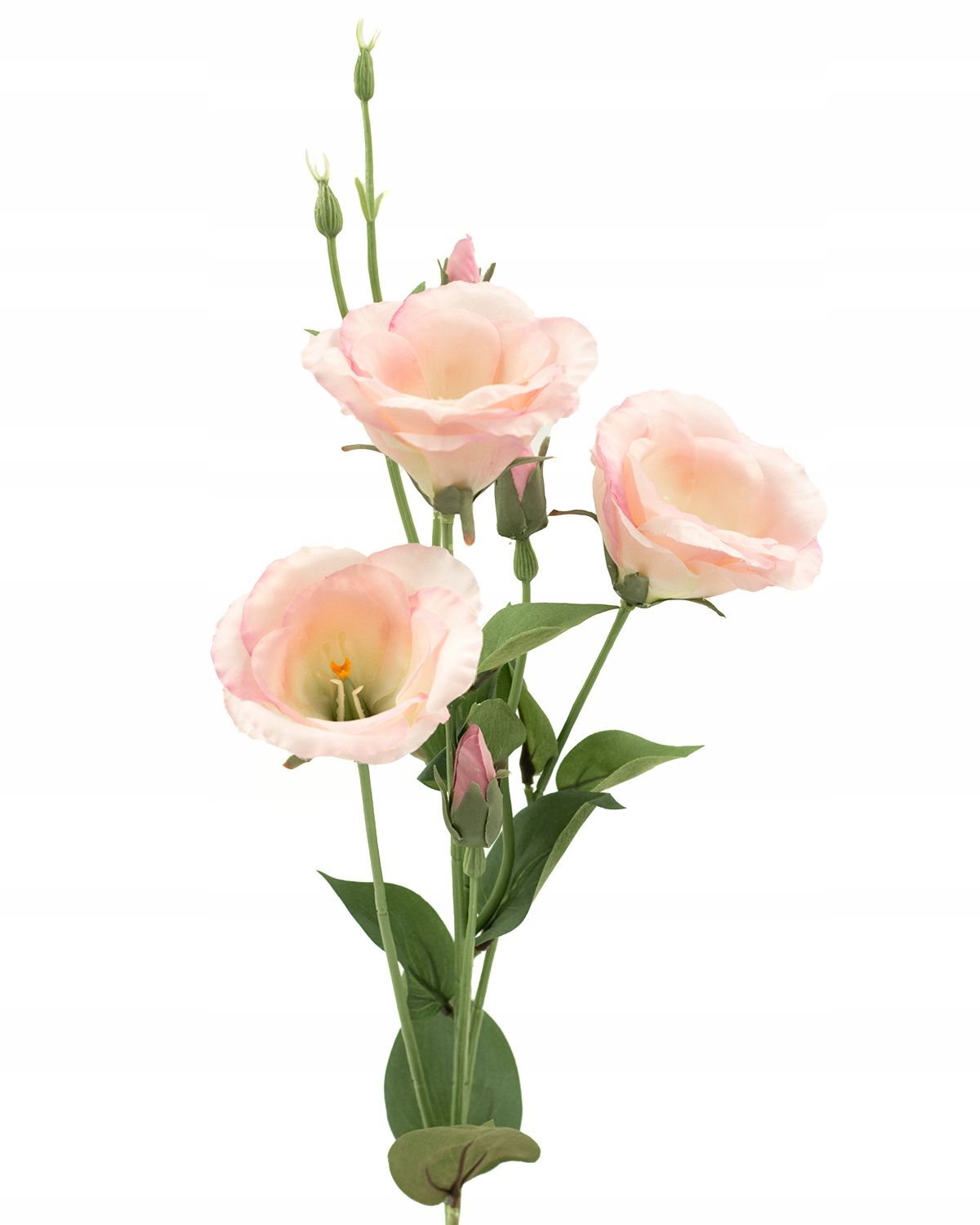  Zweig gipsowki bündeln kleine blumen in krone anhang zur krone premium