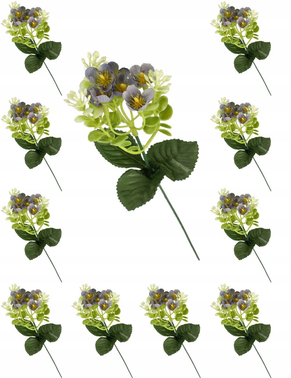  Garlic twig with eucalyptus appendix for bouquets compositions