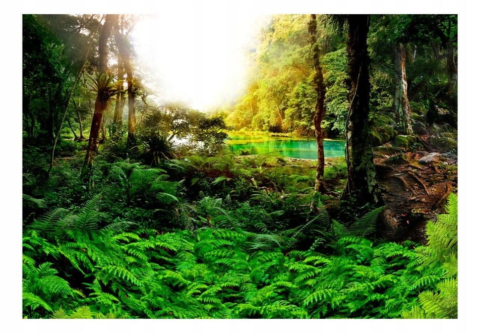  Photo wallpapers - uscisk trees - 150x105