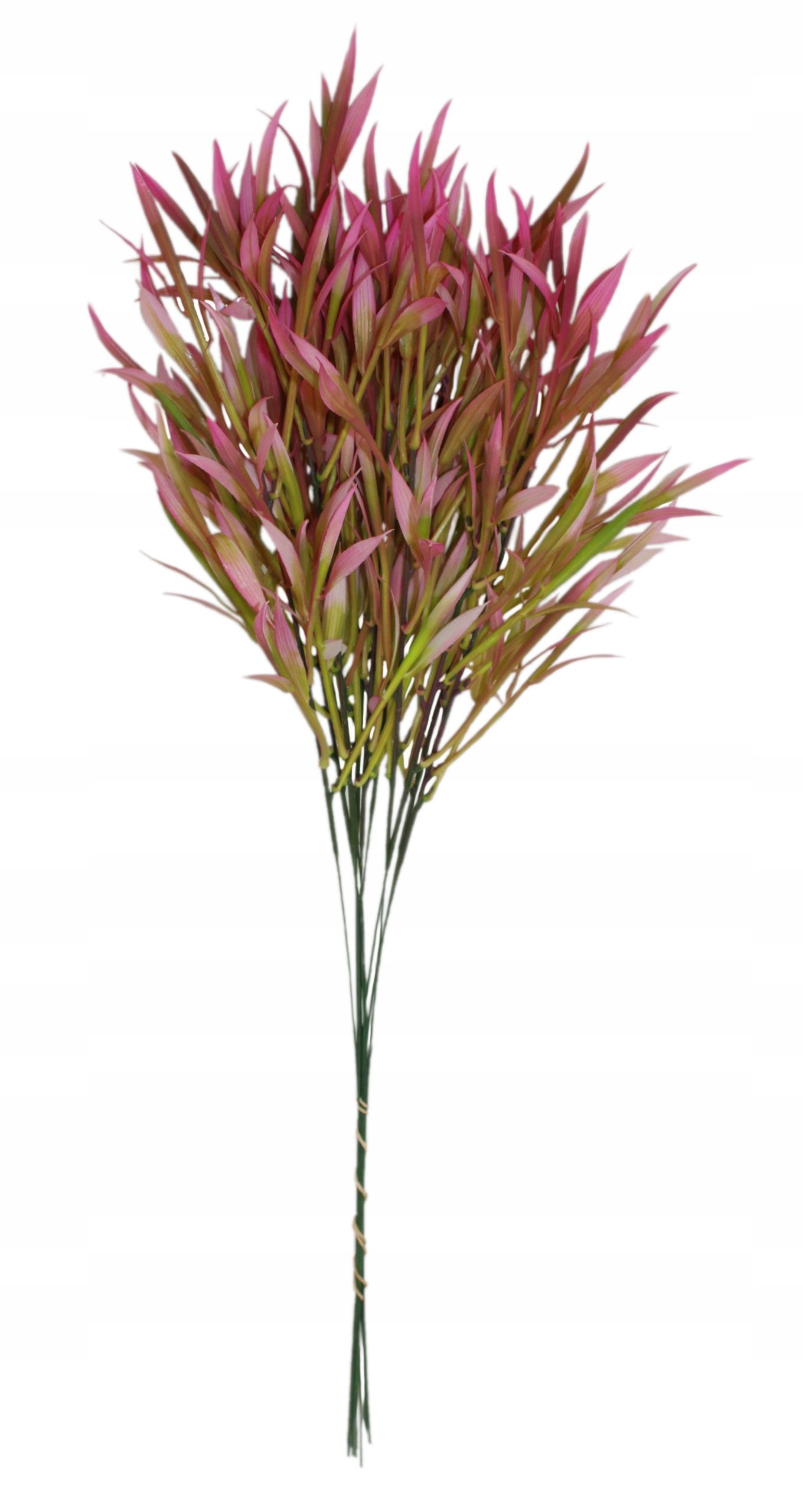  Zāle krāšņs blīvs zars 60 cm, 12 datoriem.