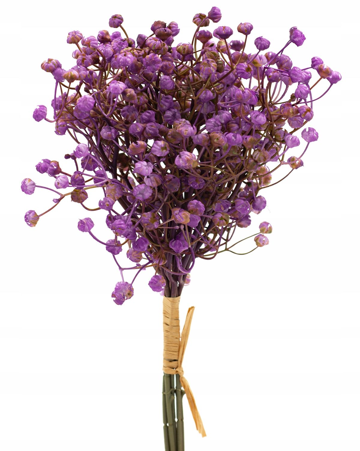  Zweig gipsowki bündeln kleine blumen in krone anhang zur krone premium