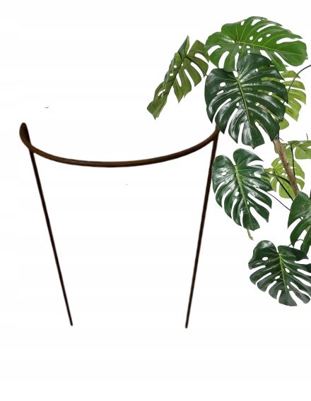  Podpora rostlin popínavé rostliny žebřík květiny hortenzie velikost podporuje 150 cm