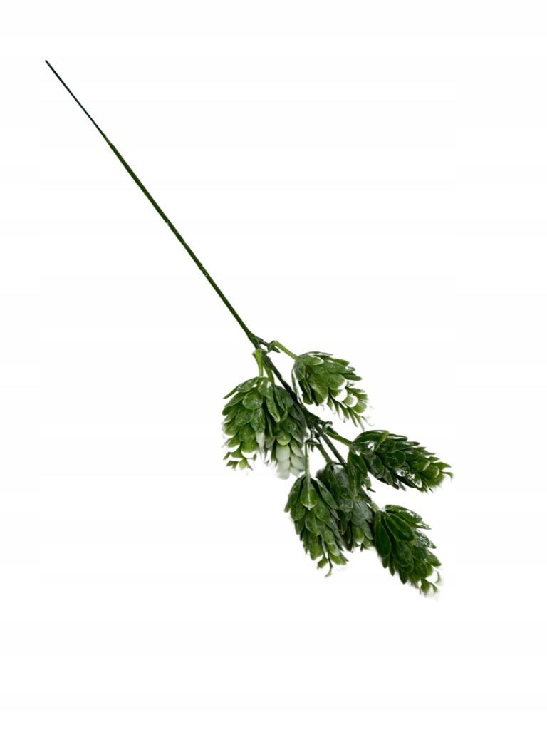  Hops twig 29 cm green purple