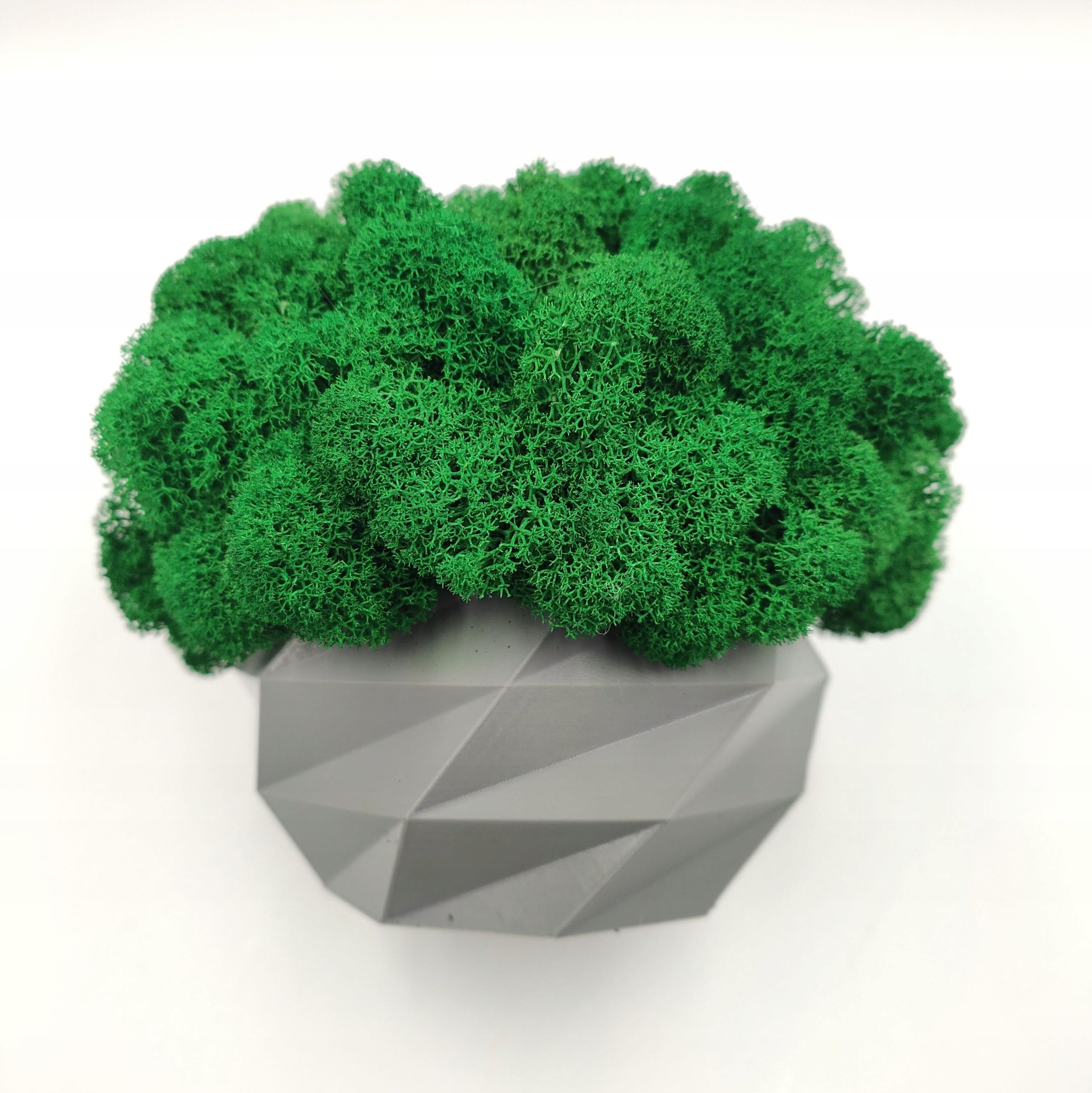  Puķu pods ar sūnām sūnas chrobotek katlā balts drukāšana 3d #4