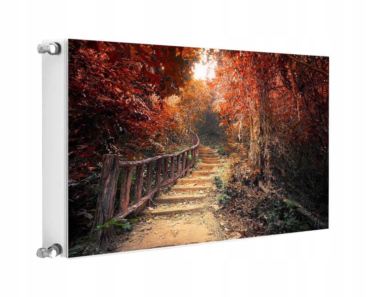  Magnetinis kilimėlis ant radiatoriaus 120x60 kraštovaizdis fototapetai