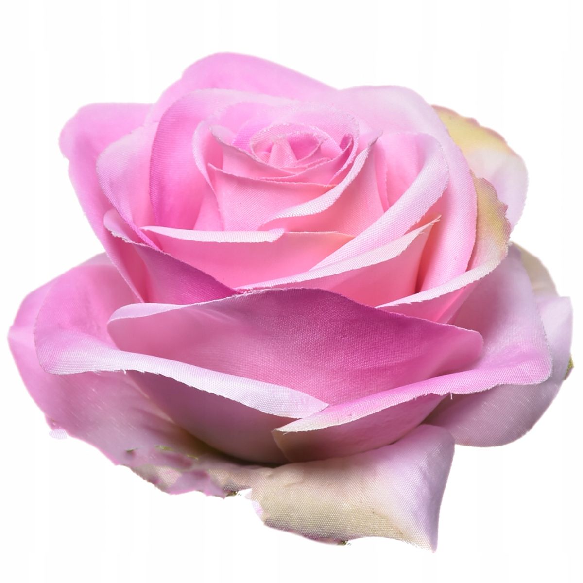  Zweig gipsowki bündeln kleine blumen in krone anhang zur krone premium