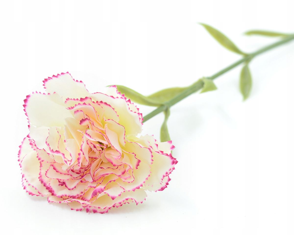  Zweig gipsowki bündeln kleine blumen in krone anhang zur krone premium