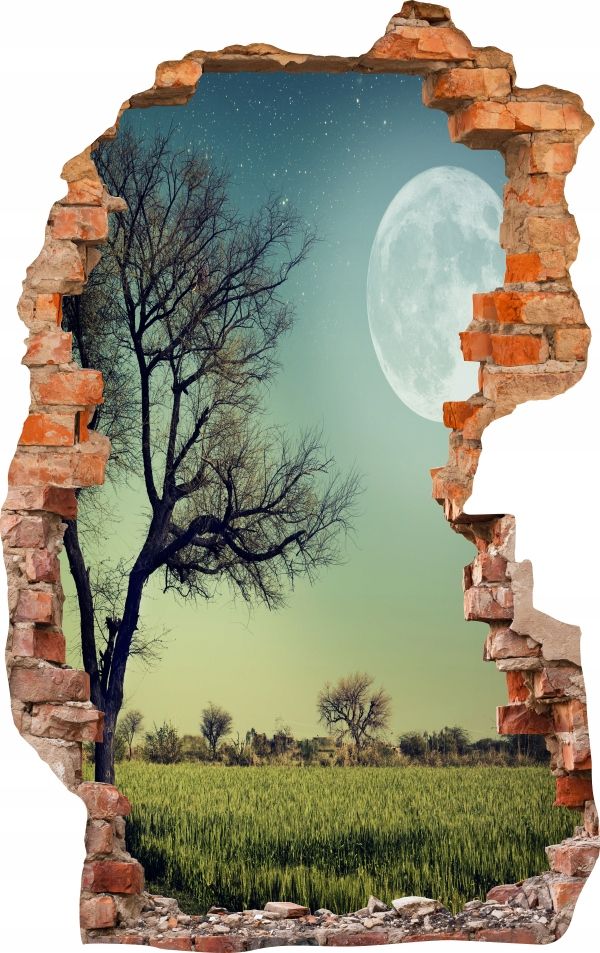  Sienas uzlīmes foto tapetes caurums 688 daba